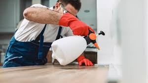 Best Pest Exclusion Services  in Levelland, TX